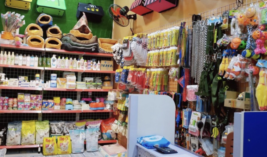 Xu Bông Pet shop Đà Nẵng