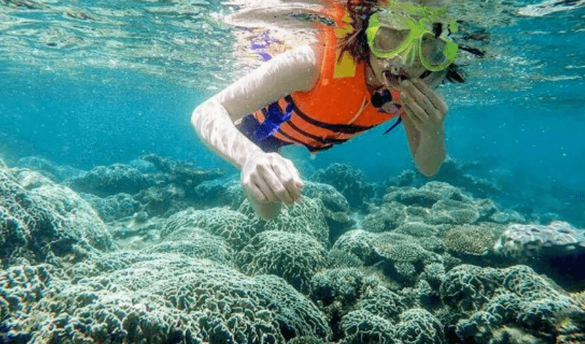 Lặn ngắm san hô Đà Nẵng tại Furama Resort