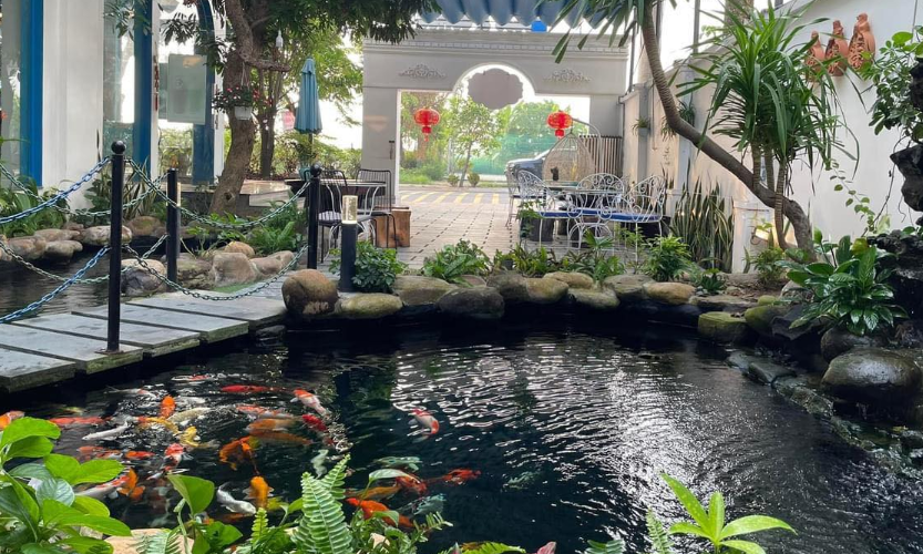 quán cafe có hồ cá đẹp ở Đà Nẵng